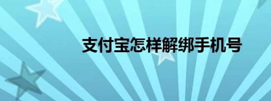 支付宝怎样解绑手机号