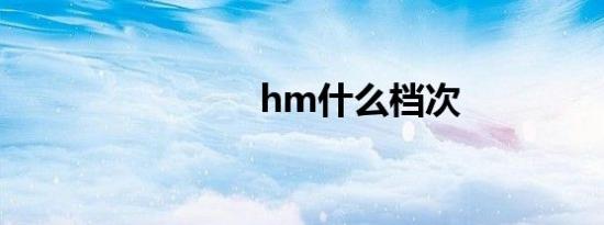 hm什么档次