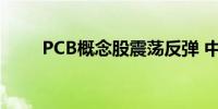 PCB概念股震荡反弹 中英科技涨停