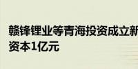 赣锋锂业等青海投资成立新能源科技公司注册资本1亿元