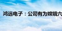 鸿远电子：公司有为嫦娥六号项目配套产品