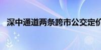 深中通道两条跨市公交定价为18元、15元