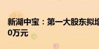 新湖中宝：第一大股东拟增持1000万元-2000万元