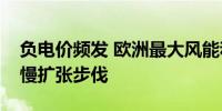 负电价频发 欧洲最大风能和太阳能开发商放慢扩张步伐