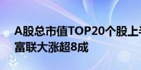 A股总市值TOP20个股上半年涨跌幅：工业富联大涨超8成