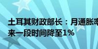 土耳其财政部长：月通胀率将降至2%并在未来一段时间降至1%