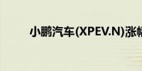 小鹏汽车(XPEV.N)涨幅扩大至5%