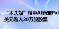 “木头姐”相中AI新宠Palantir：斥资500万美元购入20万股股票