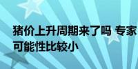 猪价上升周期来了吗 专家：猪价大幅上涨的可能性比较小