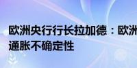 欧洲央行行长拉加德：欧洲央行需要时间评估通胀不确定性