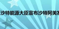 沙特能源大臣宣布沙特阿美发现天然气和石油