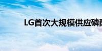 LG首次大规模供应磷酸铁锂电池