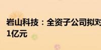 岩山科技：全资子公司拟对浙江普康生物增资1亿元