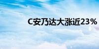 C安乃达大涨近23% 触发临停