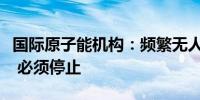 国际原子能机构：频繁无人机袭击威胁核安全 必须停止