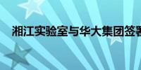 湘江实验室与华大集团签署战略合作协议