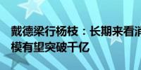 戴德梁行杨枝：长期来看消费REITs的市场规模有望突破千亿