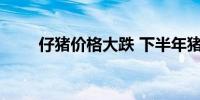 仔猪价格大跌 下半年猪价或有改善