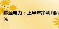 黔源电力：上半年净利润同比增长270%-365%