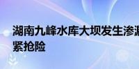 湖南九峰水库大坝发生渗漏险情 目前正在抓紧抢险