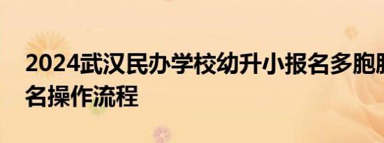 2024武汉民办学校幼升小报名多胞胎捆绑报名操作流程