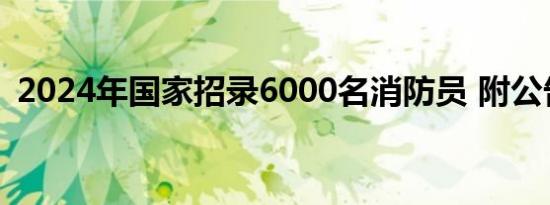 2024年国家招录6000名消防员 附公告全文