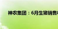 神农集团：6月生猪销售收入4.86亿元