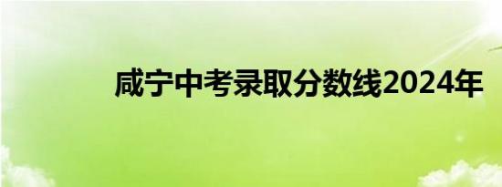 咸宁中考录取分数线2024年