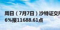 周日（7月7日）沙特证交所全股指数收涨0.26%报11688.61点