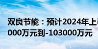 双良节能：预计2024年上半年净利润为-128000万元到-103000万元