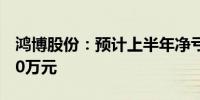 鸿博股份：预计上半年净亏损3480万元-4350万元