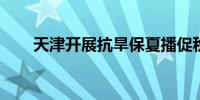 天津开展抗旱保夏播促秋粮丰收工作