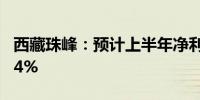 西藏珠峰：预计上半年净利同比增长49%-124%