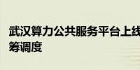 武汉算力公共服务平台上线实现城市级算力统筹调度