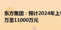 东方集团：预计2024年上半年净利润达8000万至11000万元