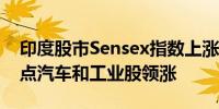 印度股市Sensex指数上涨0.2%报80481.36点汽车和工业股领涨