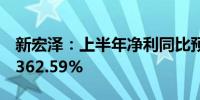 新宏泽：上半年净利同比预增1032.99%—1362.59%