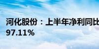 河化股份：上半年净利同比预增502.75%—797.11%