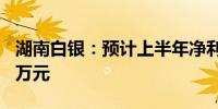 湖南白银：预计上半年净利润5000万至7000万元