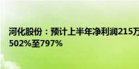 河化股份：预计上半年净利润215万元至320万元 同比增长502%至797%