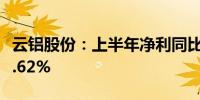 云铝股份：上半年净利同比预增58.42%—71.62%