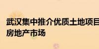 武汉集中推介优质土地项目“以需定供”激活房地产市场