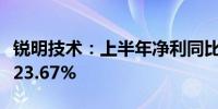 锐明技术：上半年净利同比预增100.48%—123.67%