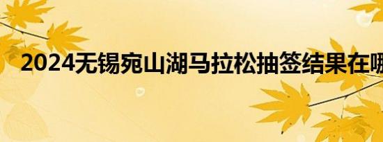 2024无锡宛山湖马拉松抽签结果在哪查询