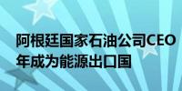 阿根廷国家石油公司CEO：阿根廷将在2031年成为能源出口国