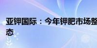 亚钾国际：今年钾肥市场整体呈现供需紧张状态