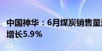 中国神华：6月煤炭销售量达39.2百万吨 同比增长5.9%