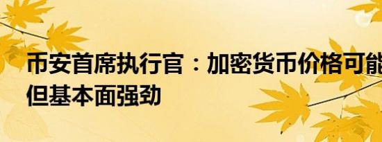 币安首席执行官：加密货币价格可能会波动 但基本面强劲