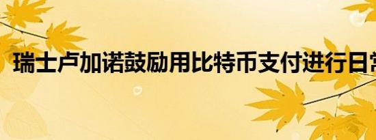 瑞士卢加诺鼓励用比特币支付进行日常开销