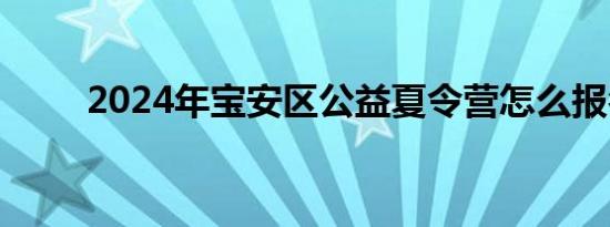 2024年宝安区公益夏令营怎么报名